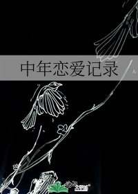 中年恋爱记录