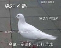 絕對不鴿gl